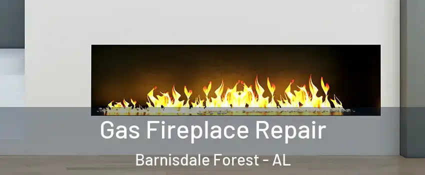 Gas Fireplace Repair Barnisdale Forest - AL