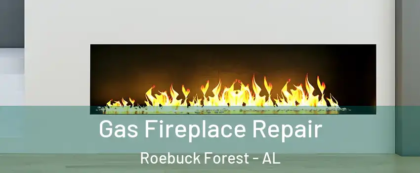 Gas Fireplace Repair Roebuck Forest - AL