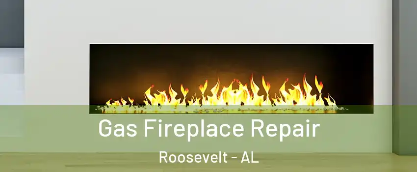 Gas Fireplace Repair Roosevelt - AL