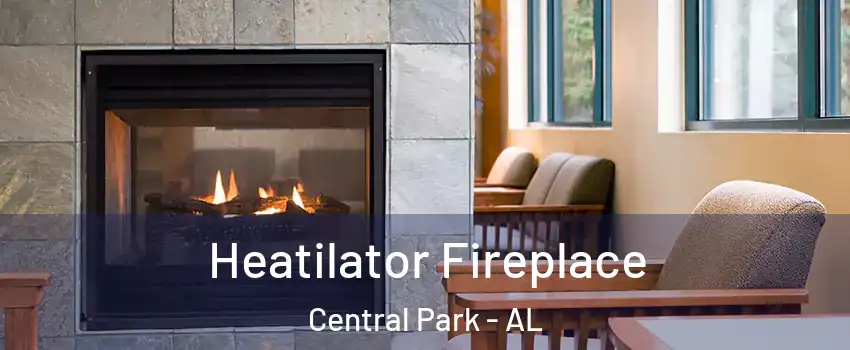 Heatilator Fireplace Central Park - AL