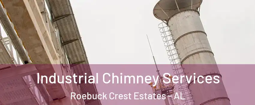Industrial Chimney Services Roebuck Crest Estates - AL
