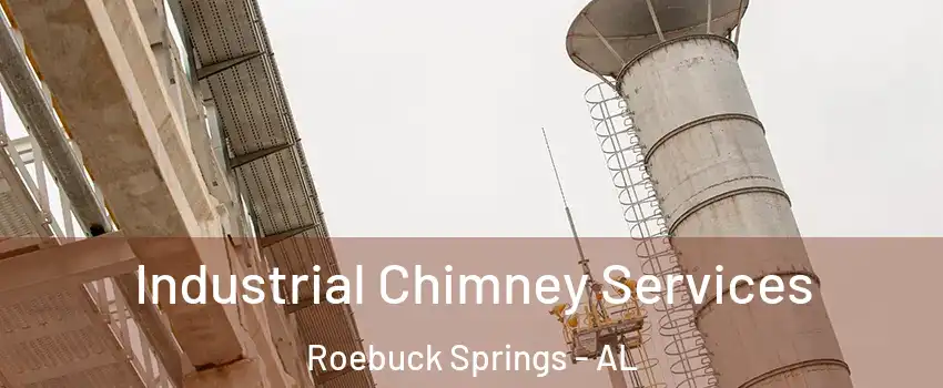 Industrial Chimney Services Roebuck Springs - AL