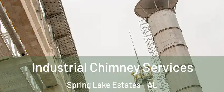 Industrial Chimney Services Spring Lake Estates - AL