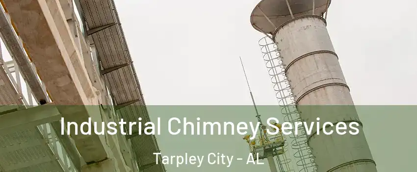 Industrial Chimney Services Tarpley City - AL