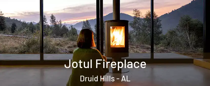 Jotul Fireplace Druid Hills - AL