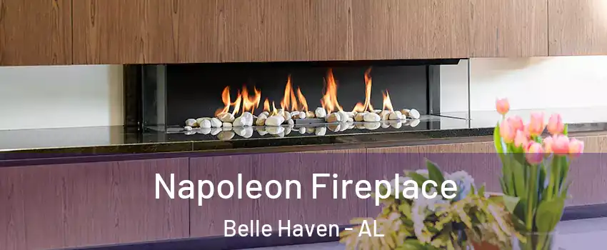 Napoleon Fireplace Belle Haven - AL