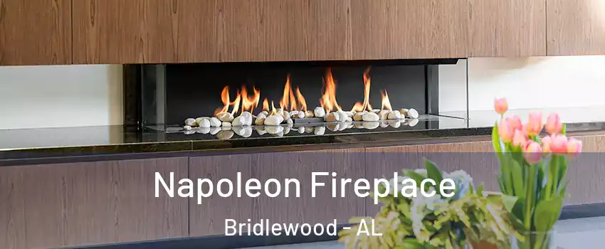 Napoleon Fireplace Bridlewood - AL