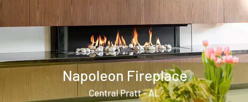 Napoleon Fireplace Central Pratt - AL