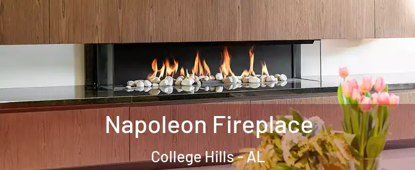 Napoleon Fireplace College Hills - AL