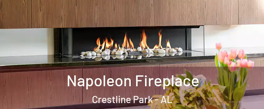 Napoleon Fireplace Crestline Park - AL