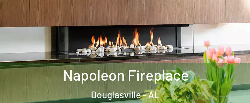 Napoleon Fireplace Douglasville - AL