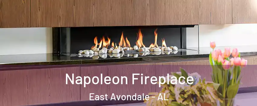 Napoleon Fireplace East Avondale - AL