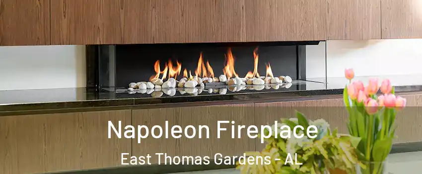 Napoleon Fireplace East Thomas Gardens - AL