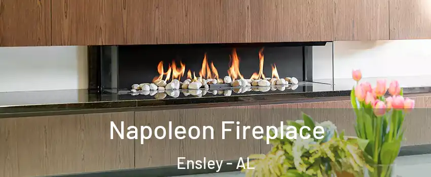 Napoleon Fireplace Ensley - AL