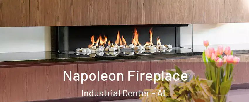 Napoleon Fireplace Industrial Center - AL