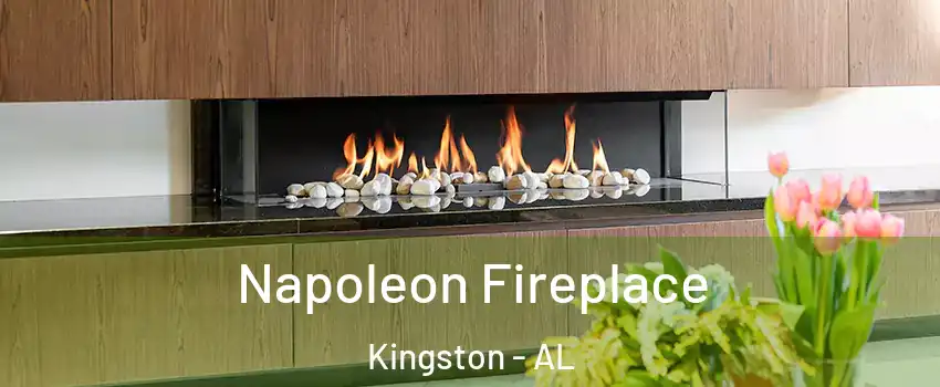 Napoleon Fireplace Kingston - AL