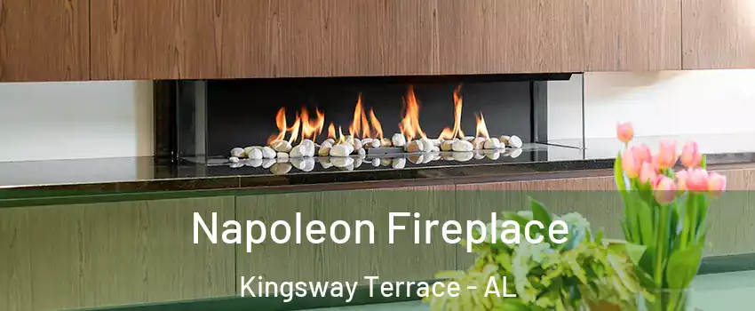 Napoleon Fireplace Kingsway Terrace - AL