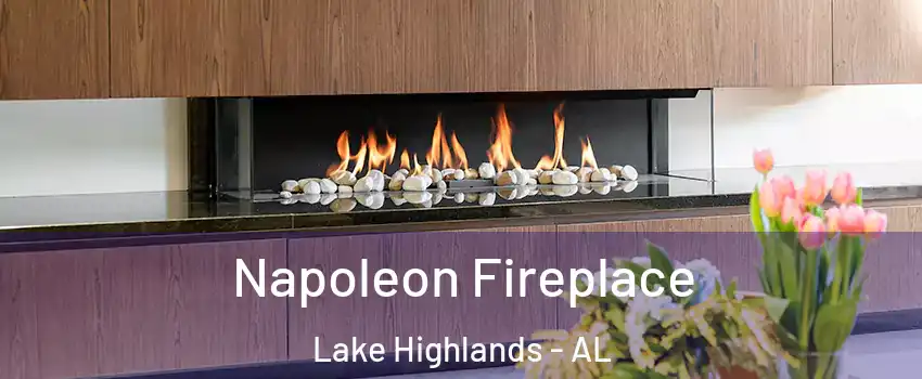 Napoleon Fireplace Lake Highlands - AL