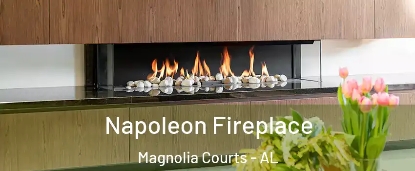 Napoleon Fireplace Magnolia Courts - AL