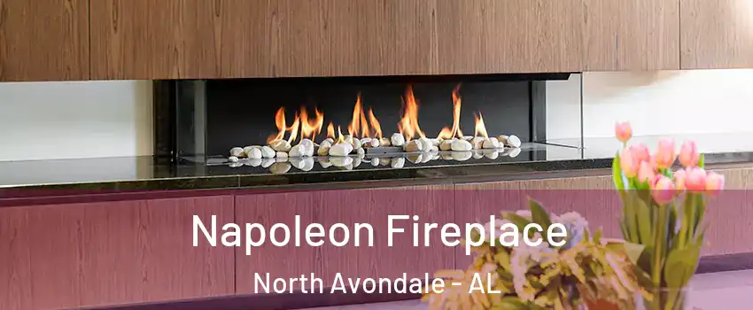 Napoleon Fireplace North Avondale - AL