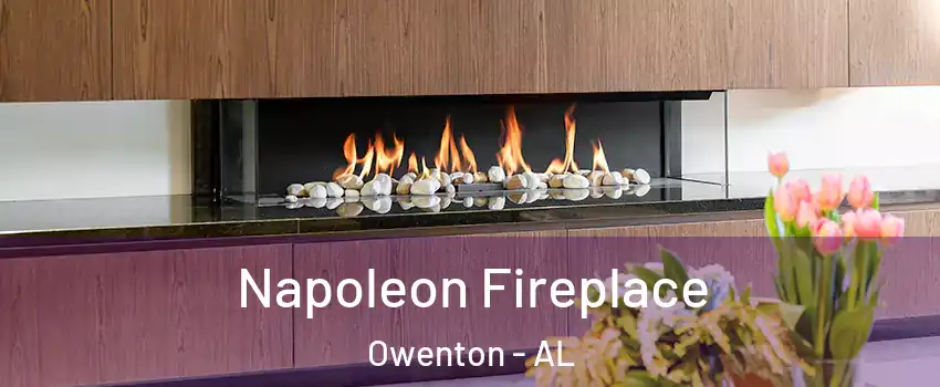 Napoleon Fireplace Owenton - AL