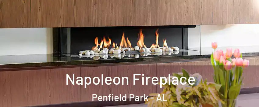 Napoleon Fireplace Penfield Park - AL