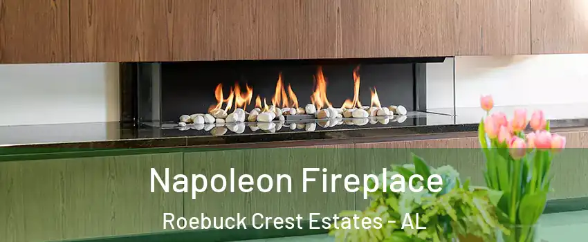 Napoleon Fireplace Roebuck Crest Estates - AL