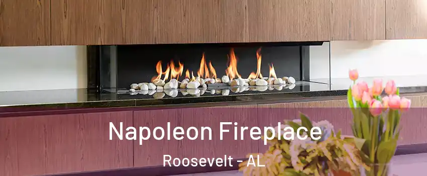 Napoleon Fireplace Roosevelt - AL