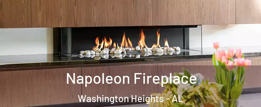 Napoleon Fireplace Washington Heights - AL