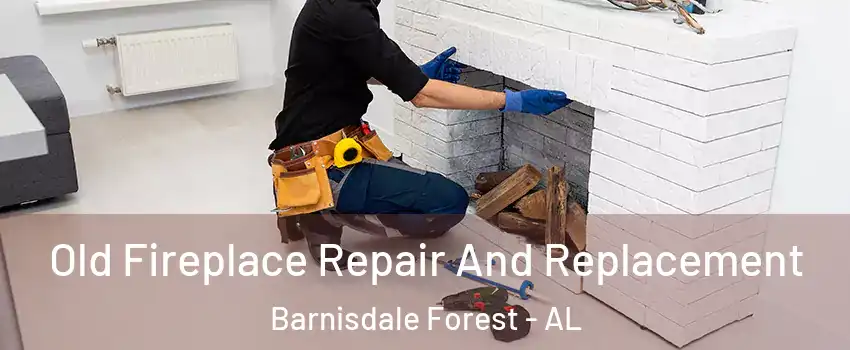 Old Fireplace Repair And Replacement Barnisdale Forest - AL