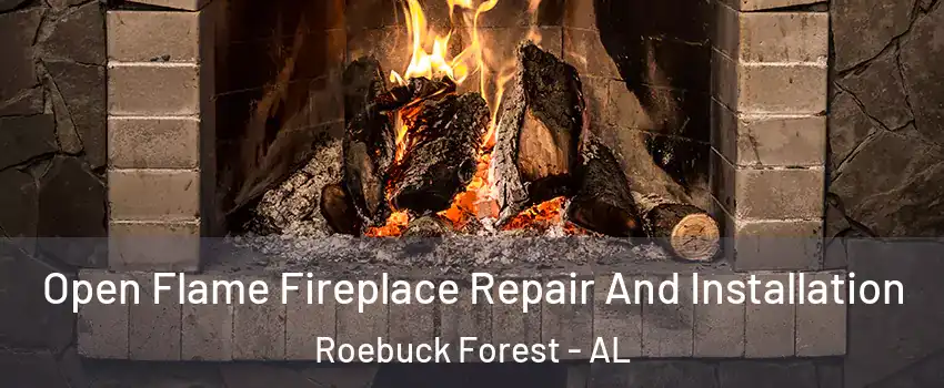 Open Flame Fireplace Repair And Installation Roebuck Forest - AL