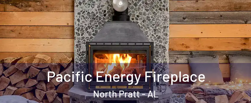 Pacific Energy Fireplace North Pratt - AL