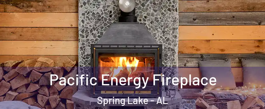 Pacific Energy Fireplace Spring Lake - AL