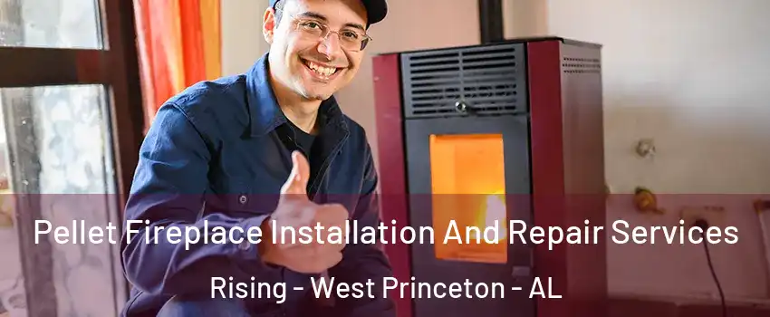 Pellet Fireplace Installation And Repair Services Rising - West Princeton - AL