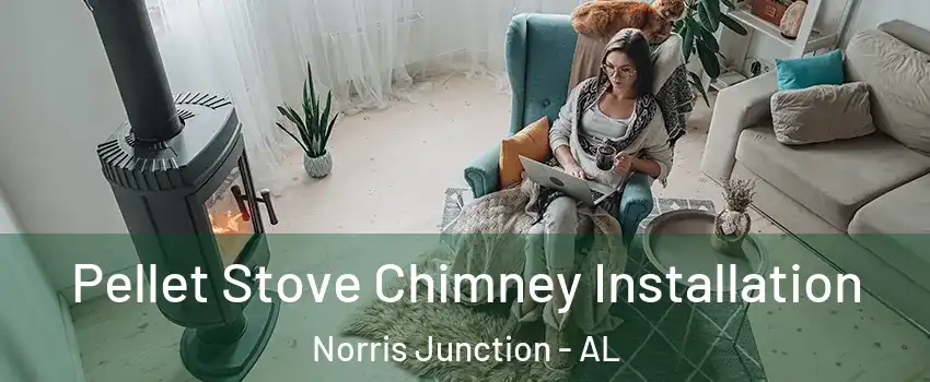 Pellet Stove Chimney Installation Norris Junction - AL