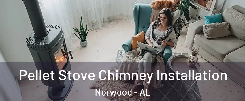 Pellet Stove Chimney Installation Norwood - AL