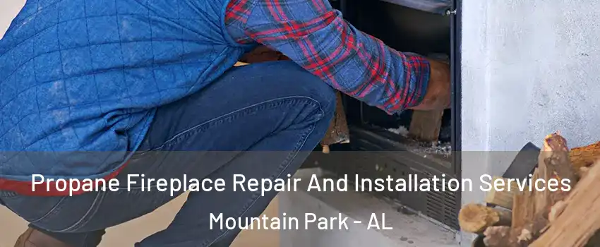 Propane Fireplace Repair And Installation Services Mountain Park - AL