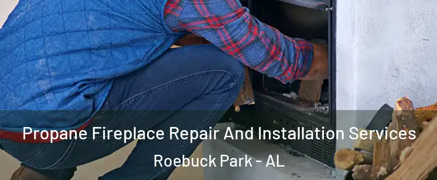 Propane Fireplace Repair And Installation Services Roebuck Park - AL