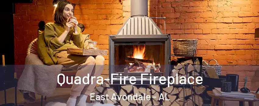 Quadra-Fire Fireplace East Avondale - AL