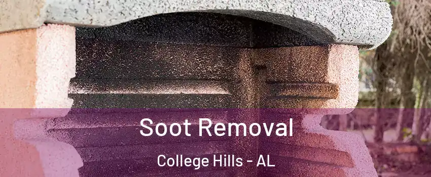 Soot Removal College Hills - AL