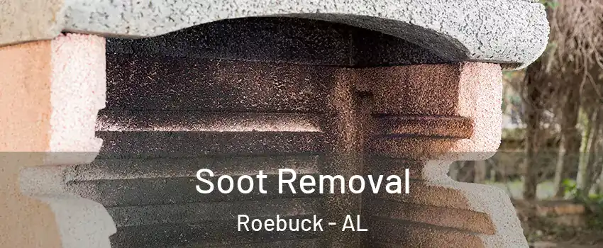 Soot Removal Roebuck - AL