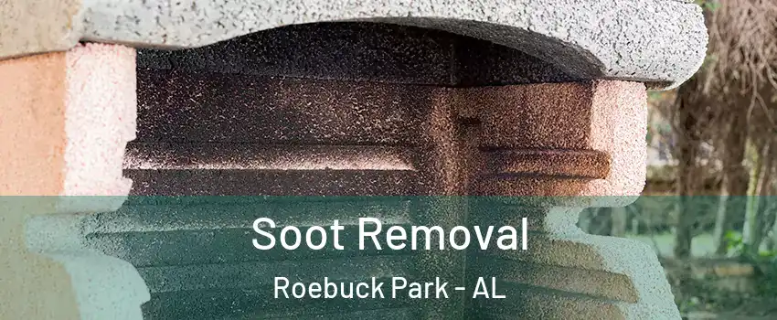 Soot Removal Roebuck Park - AL