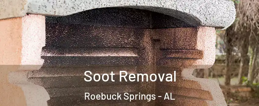 Soot Removal Roebuck Springs - AL