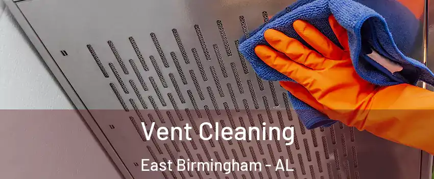 Vent Cleaning East Birmingham - AL