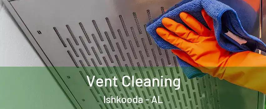 Vent Cleaning Ishkooda - AL