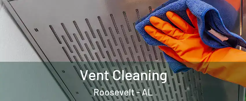 Vent Cleaning Roosevelt - AL