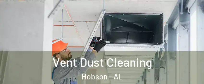 Vent Dust Cleaning Hobson - AL