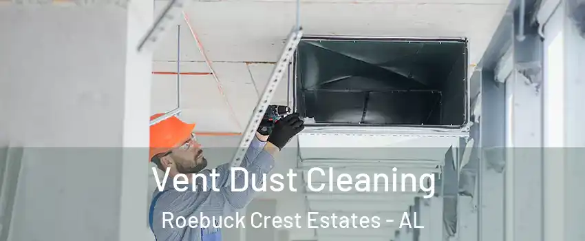 Vent Dust Cleaning Roebuck Crest Estates - AL