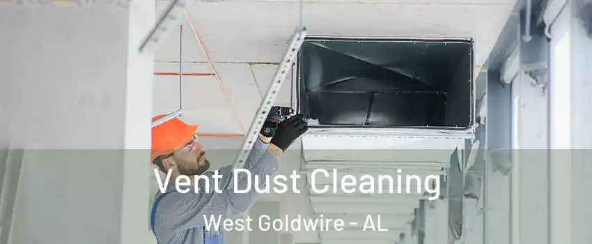 Vent Dust Cleaning West Goldwire - AL