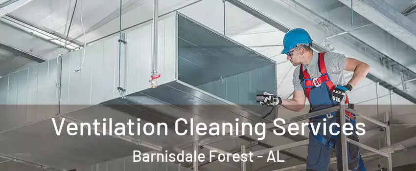 Ventilation Cleaning Services Barnisdale Forest - AL